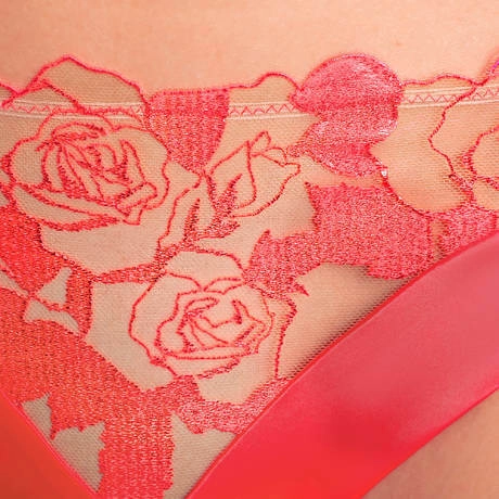 Dita Von Teese Rosabelle Sheer Bikini Panty Flame