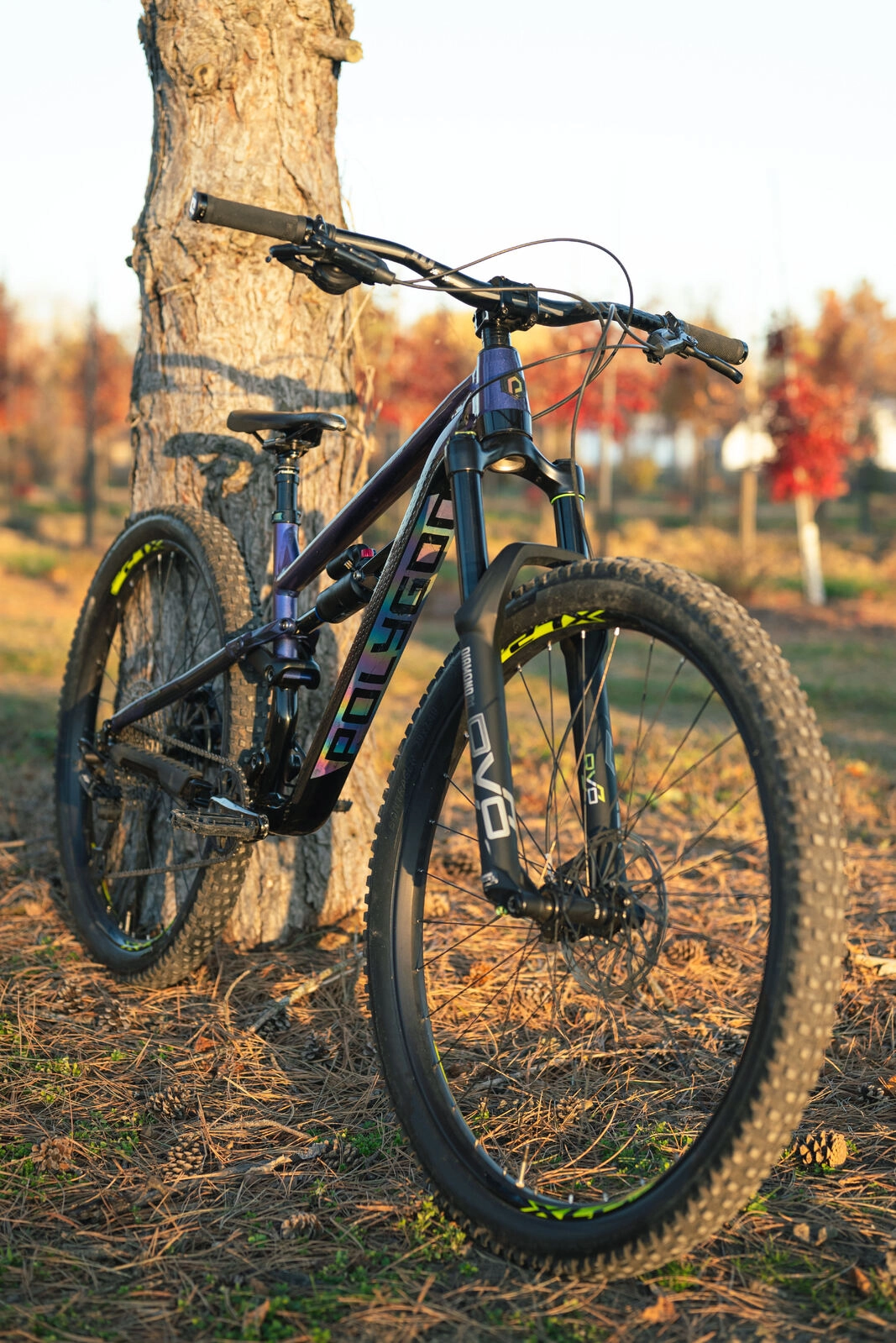DVO Suspension Diamond D1 Fork - 44mm