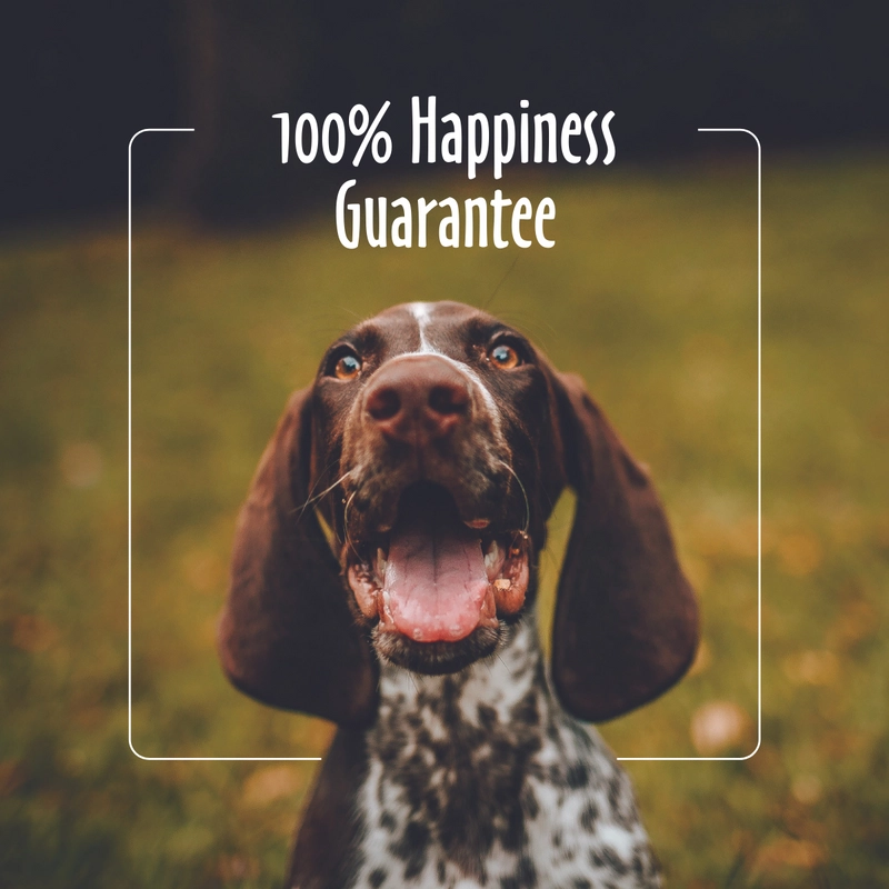 Earthbath Vanilla & Almond Oatmeal & Aloe Shampoo for Dogs and Cats