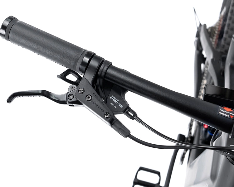 EM19 2025 - ELECTRIC CARBON BIKE