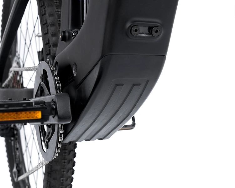 EM19 2025 - ELECTRIC CARBON BIKE