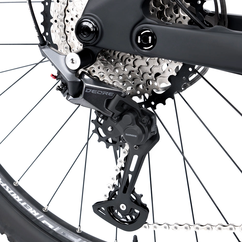 EM19 2025 - ELECTRIC CARBON BIKE