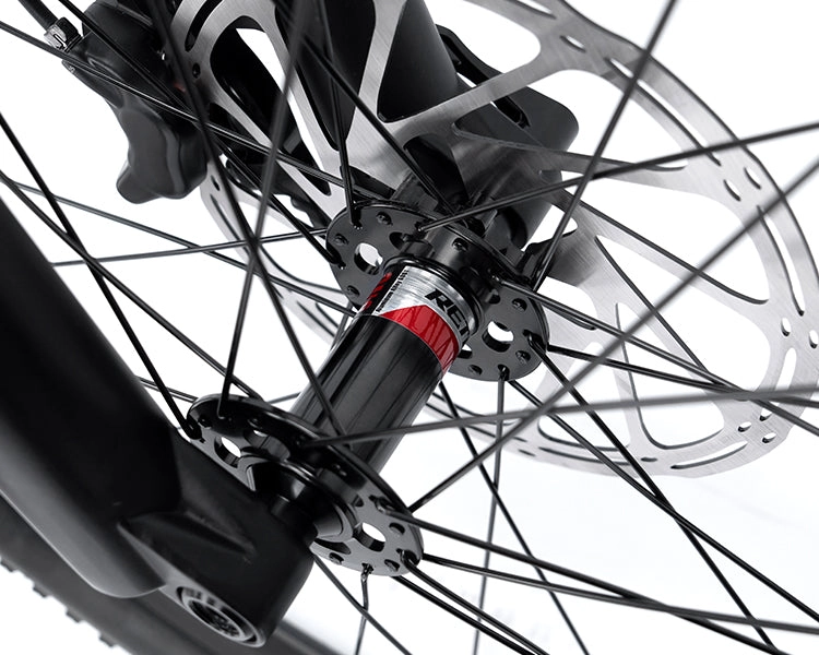 EM19 2025 - ELECTRIC CARBON BIKE