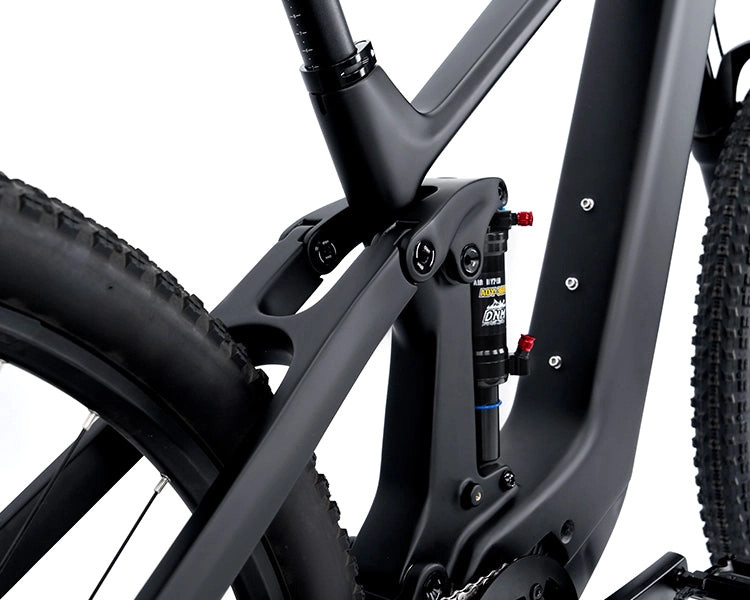 EM19 2025 - ELECTRIC CARBON BIKE