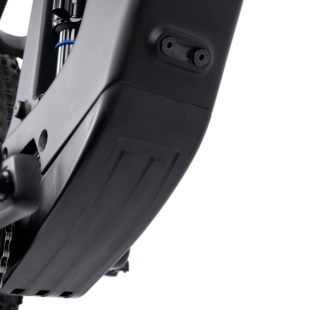 EM19 2025 - ELECTRIC CARBON BIKE