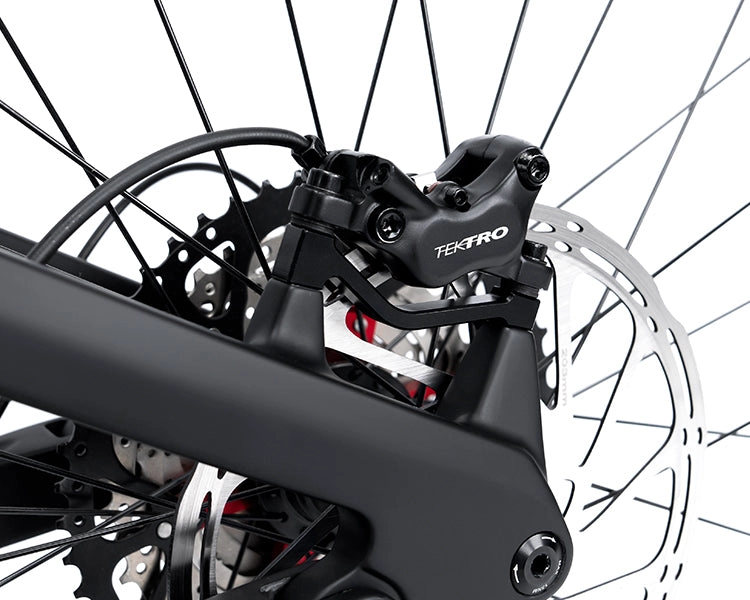 EM19 2025 - ELECTRIC CARBON BIKE