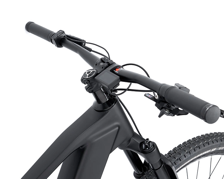 EM19 2025 - ELECTRIC CARBON BIKE