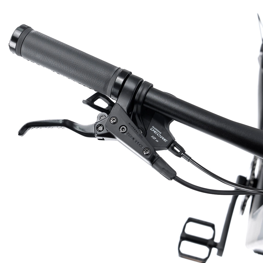 EM19 2025 - ELECTRIC CARBON BIKE