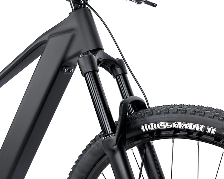 EM19 2025 - ELECTRIC CARBON BIKE