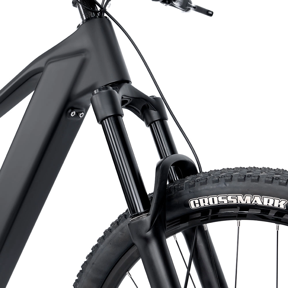 EM19 2025 - ELECTRIC CARBON BIKE