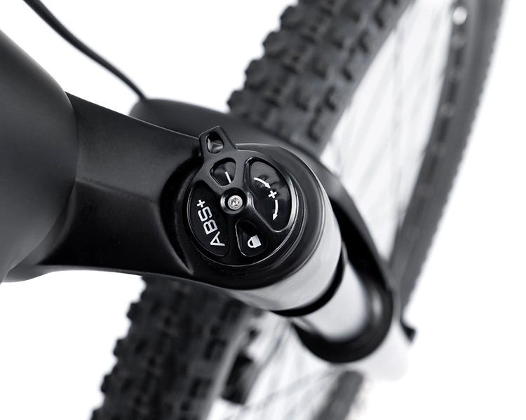 EM19 2025 - ELECTRIC CARBON BIKE