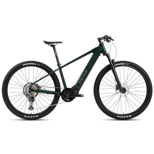 EM5 2025 - ELECTRIC CARBON BIKE