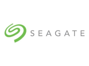 Seagate Enterprise NAS ST3000VN0001 - Hard drive - 3 TB - internal - 3.5 - SATA 6Gb/s - 7200 rpm"